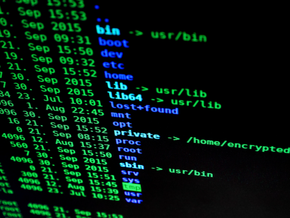 ZSH Insensitive Mode